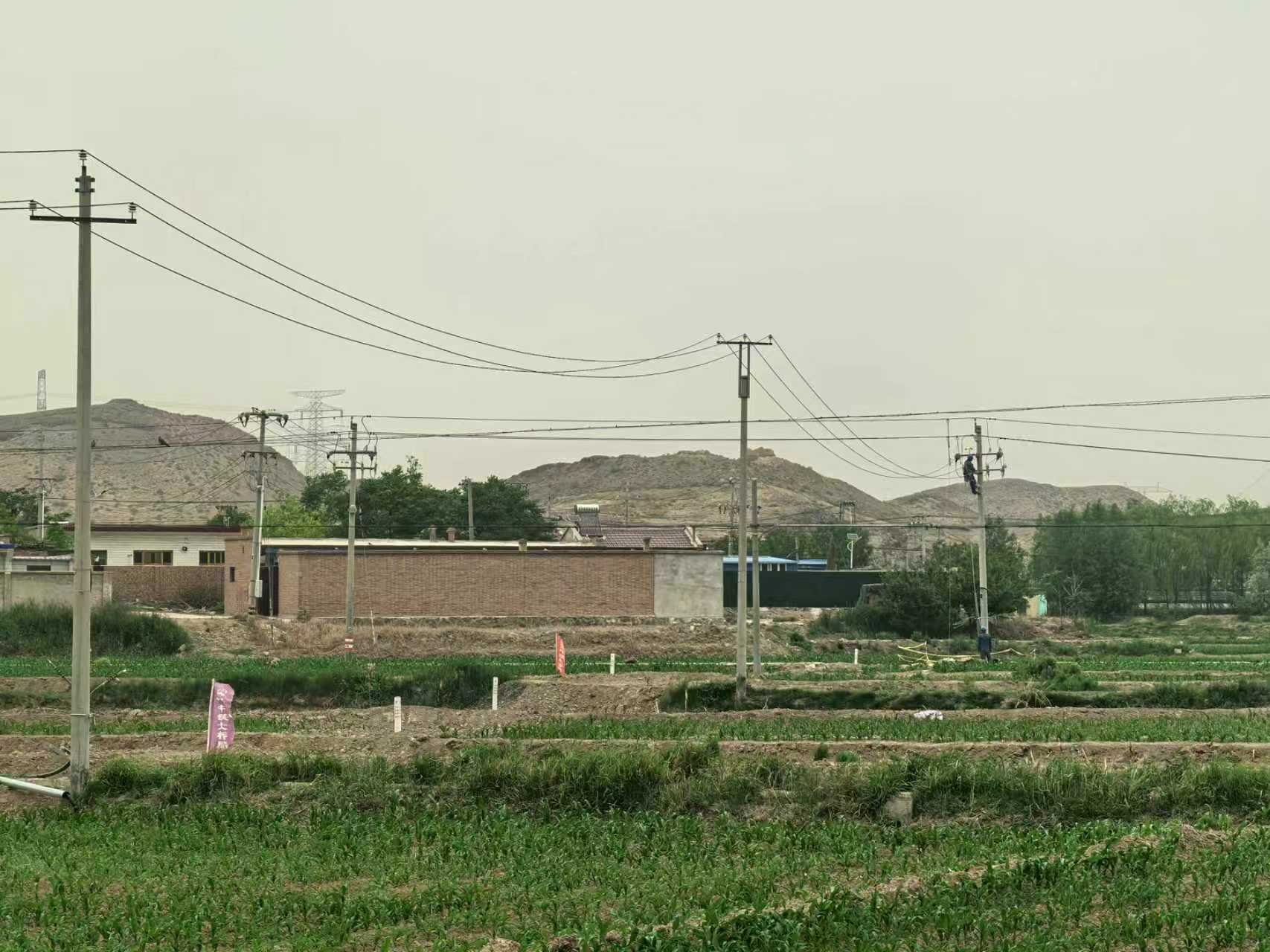 10kV电力线路迁改现场 电杆与线路维护作业环境